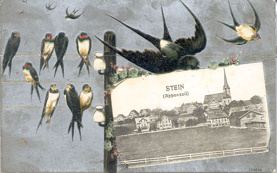 Stein_Ansichtskarte_Schwalben